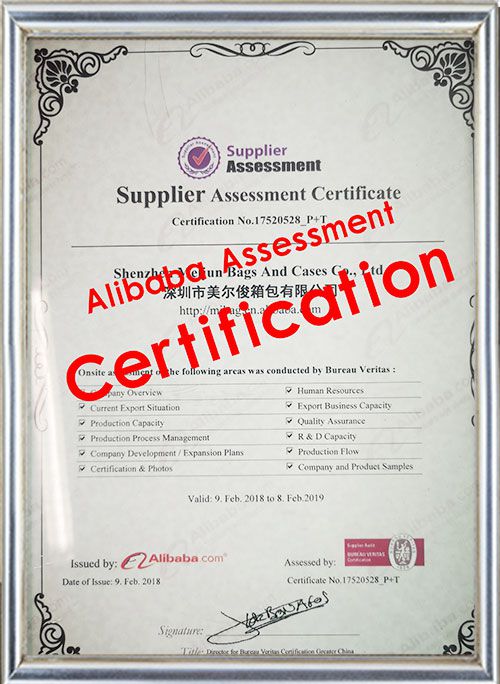 Alibaba Assessment
