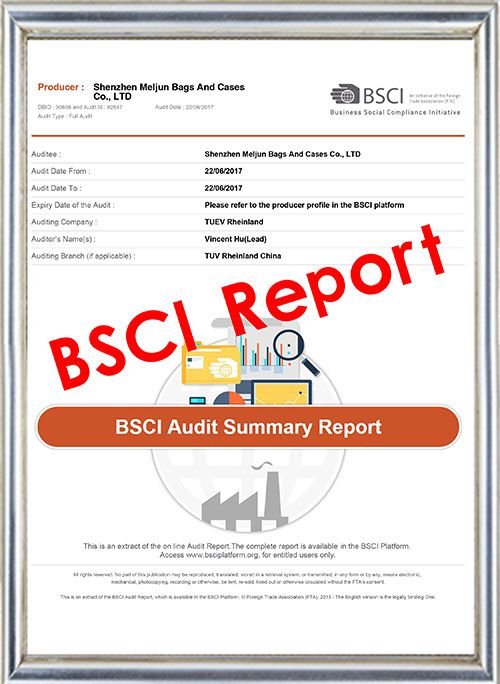 Meljun BSCI Report